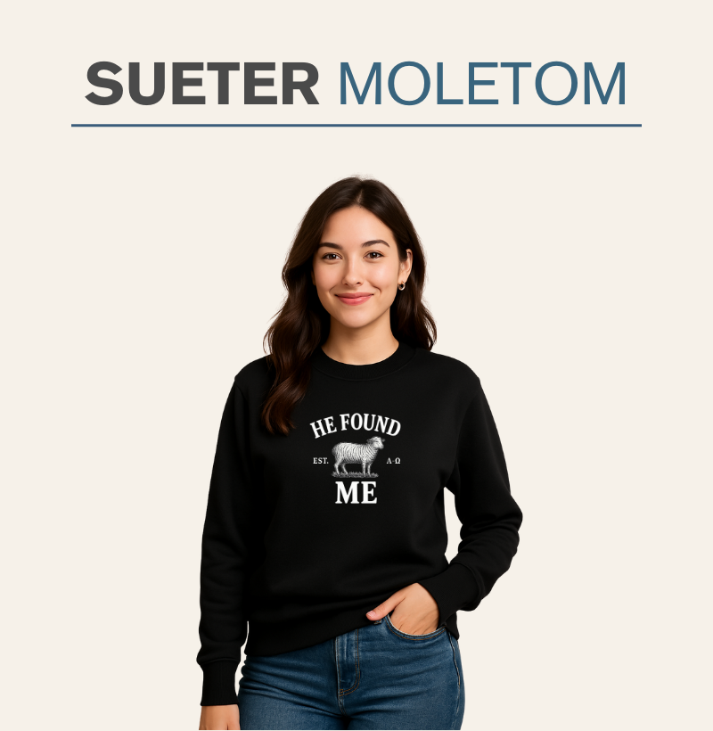 Suéter Moletom