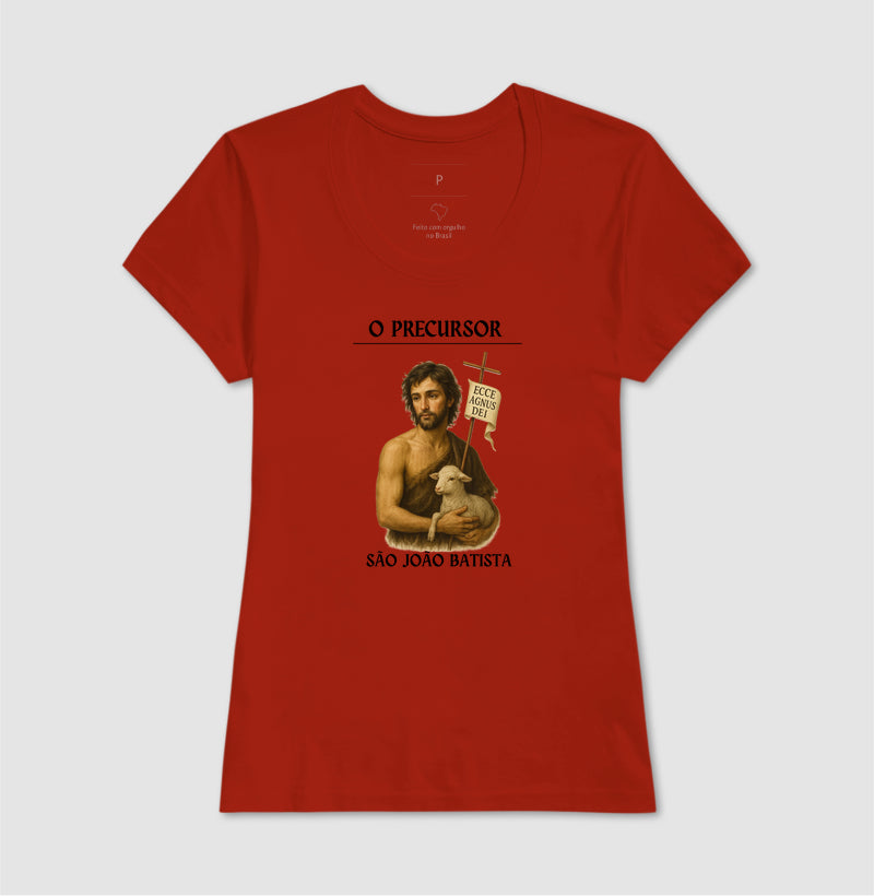 São João Batista, precursor