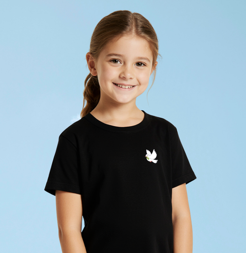 Camiseta Infantil Espirito Santo