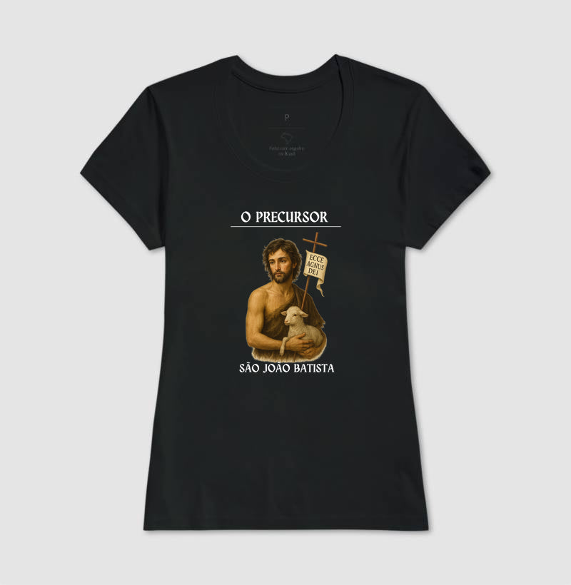 São João Batista, precursor