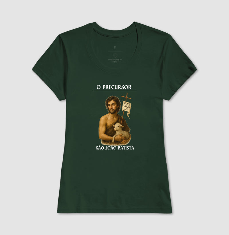 São João Batista, precursor