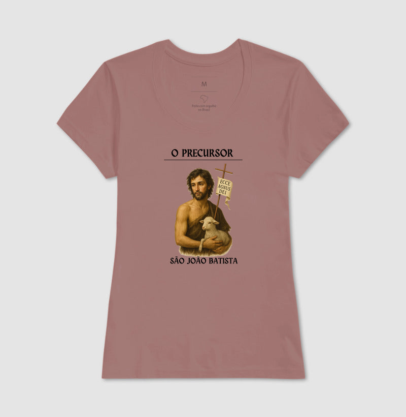 São João Batista, precursor