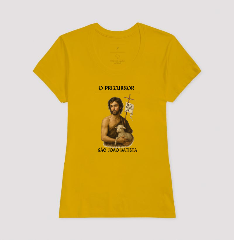 São João Batista, precursor