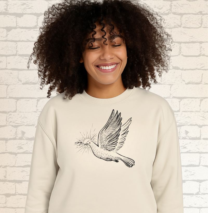 Suéter Moletom “Espírito Santo” | Mania de Fé