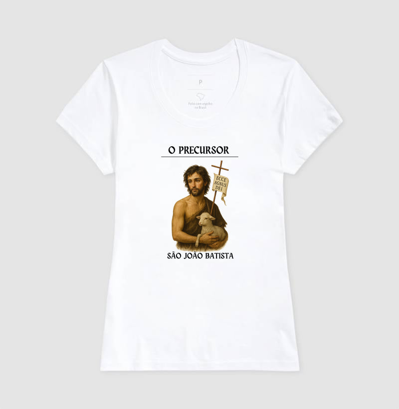São João Batista, precursor