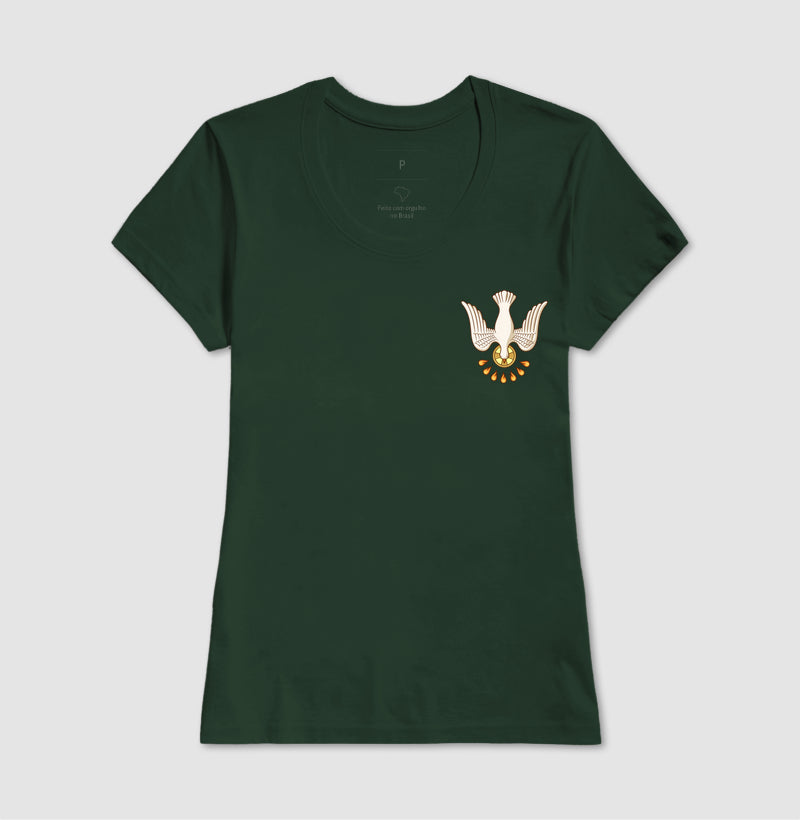 Espírito Santo Pentecostes