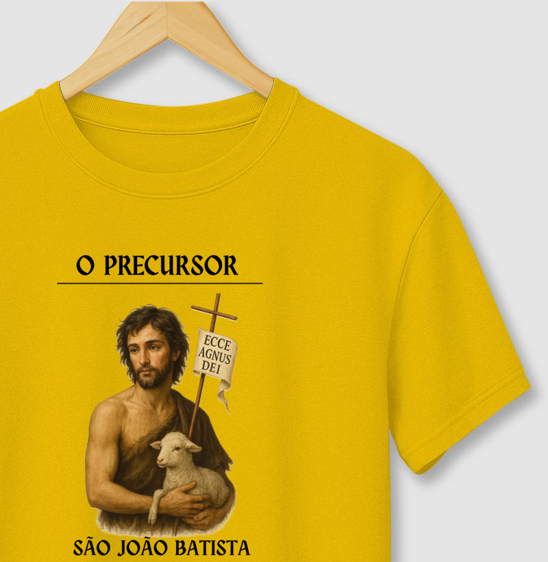 São João Batista, precursor