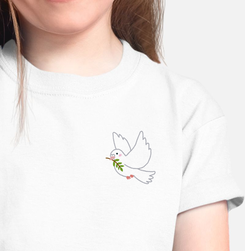Camiseta Infantil Espirito Santo